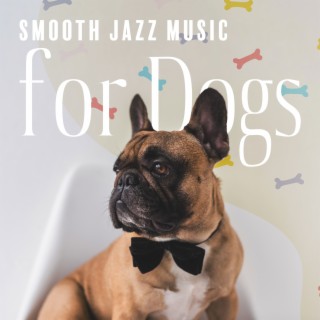 Smooth Jazz Music for Dogs: Relaxing Music to Calm Anxiety