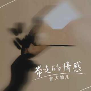 带走的情感 (伴奏) lyrics | Boomplay Music