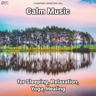 #01 Calm Music for Sleeping, Relaxation, Yoga, Healing