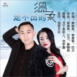 走不出的温柔 (对唱版伴奏) ft. 龙宇星 lyrics | Boomplay Music