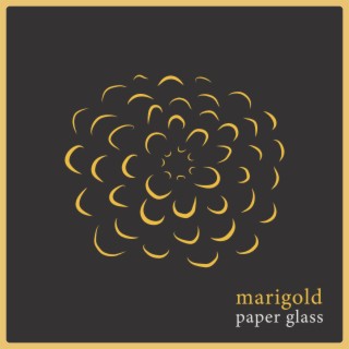 Paper Glass