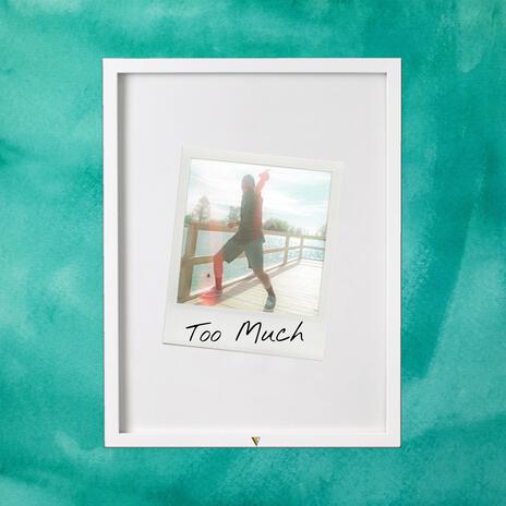 Too Much | Boomplay Music