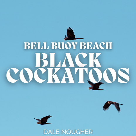 Bell Buoy Beach Black Cockatoos | Boomplay Music