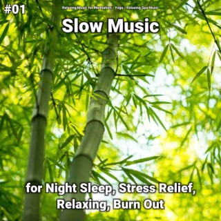 #01 Slow Music for Night Sleep, Stress Relief, Relaxing, Burn Out