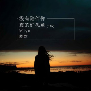 没有你陪伴真的好孤单(0.8x) lyrics | Boomplay Music