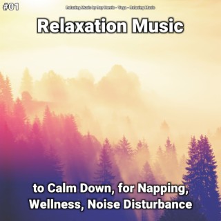 #01 Relaxation Music to Calm Down, for Napping, Wellness, Noise Disturbance