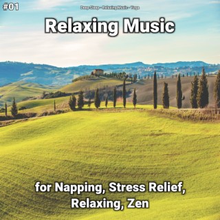 #01 Relaxing Music for Napping, Stress Relief, Relaxing, Zen