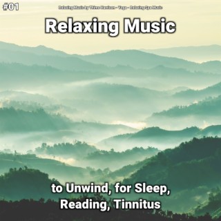 #01 Relaxing Music to Unwind, for Sleep, Reading, Tinnitus