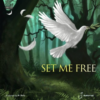 Set Me Free lyrics | Boomplay Music