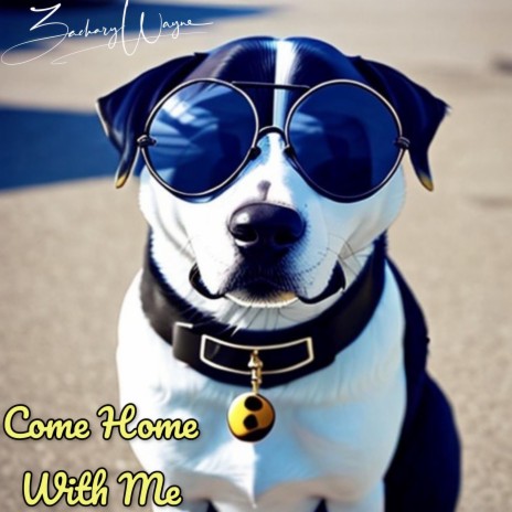 Come Home With Me | Boomplay Music