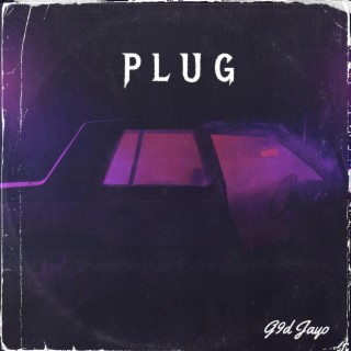 Plug