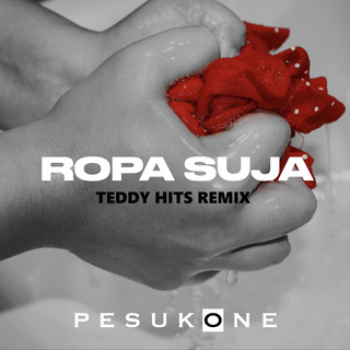 Ropa Suja (Teddy Hits Remix)