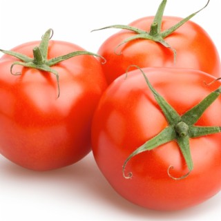 Tomatoes