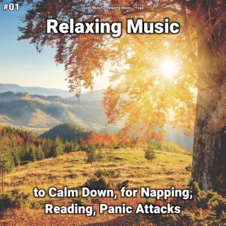 #01 Relaxing Music to Calm Down, for Napping, Reading, Panic Attacks