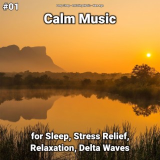 #01 Calm Music for Sleep, Stress Relief, Relaxation, Delta Waves