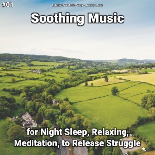 #01 Soothing Music for Night Sleep, Relaxing, Meditation, to Release Struggle