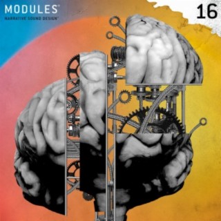 Modules 16
