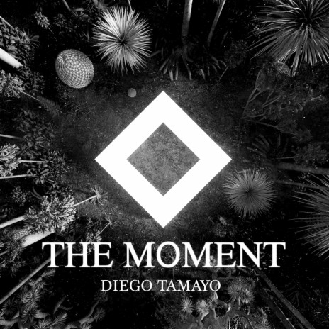 The Moment | Boomplay Music