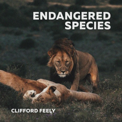 Endangered Species | Boomplay Music