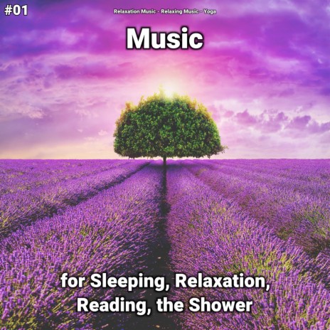 Relaxing Music for Spa ft. Relaxation Music & Relaxing Music | Boomplay Music