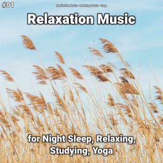 #01 Relaxation Music for Night Sleep, Relaxing, Studying, Yoga