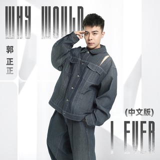 Why Would I Ever (中文版) lyrics | Boomplay Music