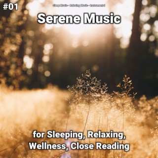 #01 Serene Music for Sleeping, Relaxing, Wellness, Close Reading