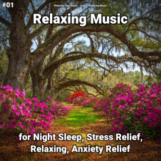 #01 Relaxing Music for Night Sleep, Stress Relief, Relaxing, Anxiety Relief