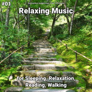#01 Relaxing Music for Sleeping, Relaxation, Reading, Walking