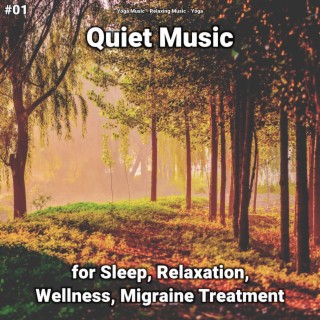 #01 Quiet Music for Sleep, Relaxation, Wellness, Migraine Treatment