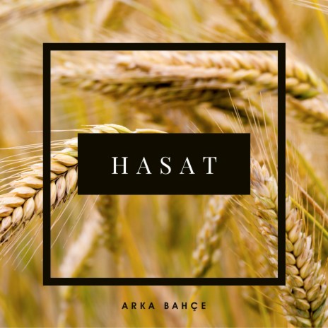Hasat | Boomplay Music