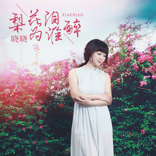 梨花泪为谁醉 (伴奏) lyrics | Boomplay Music