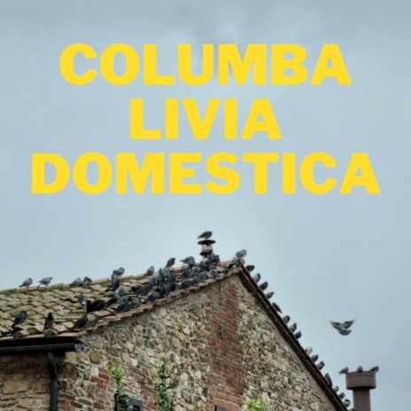 Columba Livia Domestica ft. Jenny Ferrari | Boomplay Music