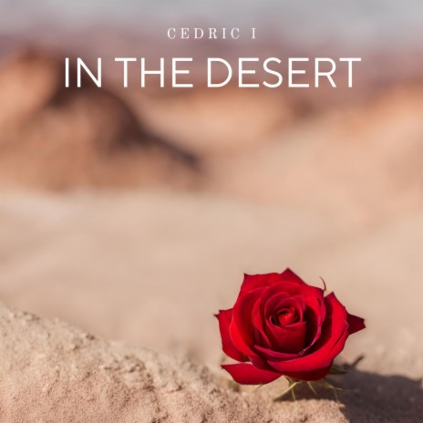 In The Desert