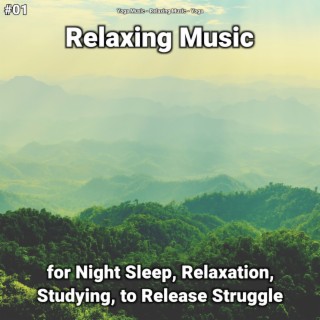 #01 Relaxing Music for Night Sleep, Relaxation, Studying, to Release Struggle
