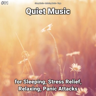 #01 Quiet Music for Sleeping, Stress Relief, Relaxing, Panic Attacks