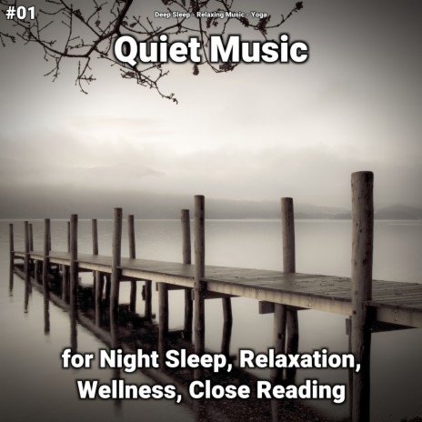 Relaxing Music Sleep Aid ft. Deep Sleep & Relaxing Music