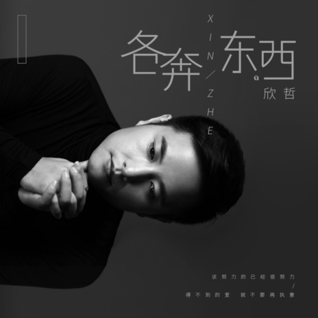 各奔东西 (伴奏) | Boomplay Music