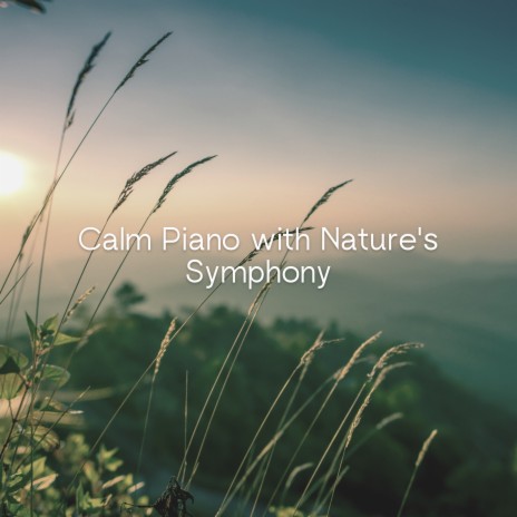 Healing Piano (Serene Water Sounds for Meditation and Sleep) ft. Relaxing Piano Music Universe, Soft Music & Piano Soul | Boomplay Music