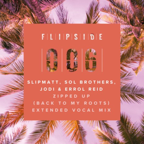 Zipped Up (Going Back To My Roots) (Extended Vocal Mix) ft. Sol Brothers, Jodi & Errol Reid | Boomplay Music