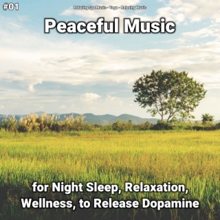 #01 Peaceful Music for Night Sleep, Relaxation, Wellness, to Release Dopamine