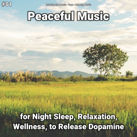 Relaxing Music for Deep Sleep ft. Relaxing Spa Music & Relaxing Music