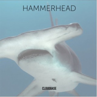 Hammerhead