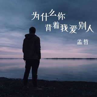 为什么你背着我爱别人 lyrics | Boomplay Music