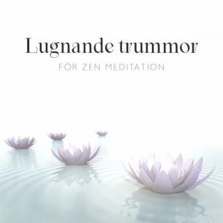 Lugnande trummor för zen meditation: Djup avslappningsmusik för positiva vibbar och stresslindring