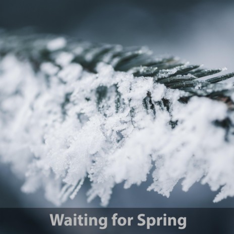 Waiting For Spring | Boomplay Music