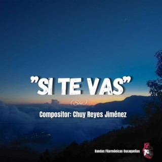 Si Te Vas