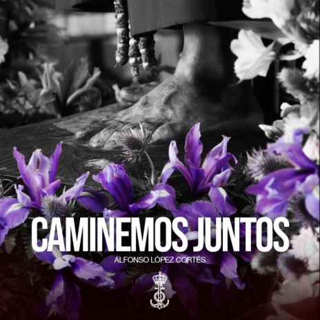 Caminemos Juntos | Boomplay Music