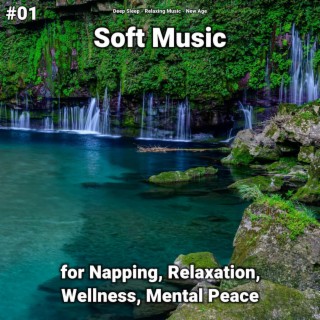#01 Soft Music for Napping, Relaxation, Wellness, Mental Peace