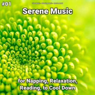 #01 Serene Music for Napping, Relaxation, Reading, to Cool Down